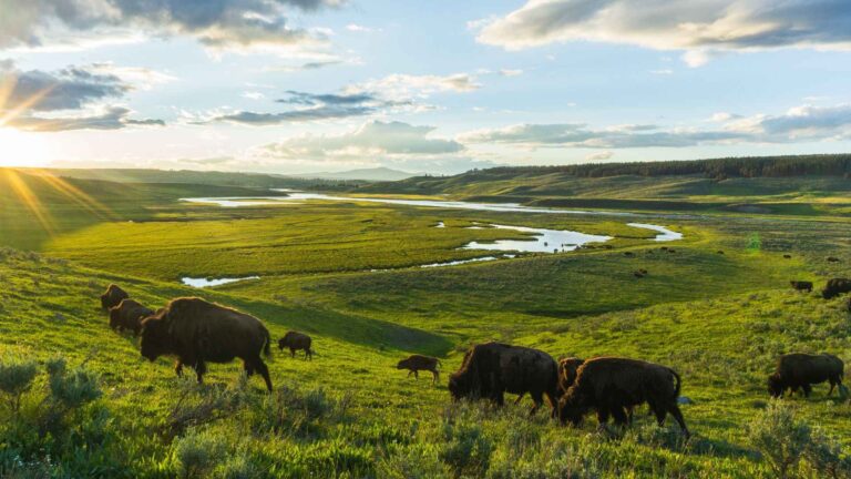 11 Best U.S. National Parks to Visit in August 2025 blog poster