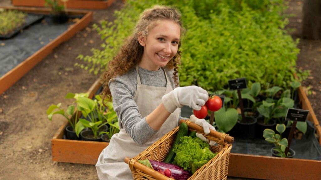 11 Things You Need to Know Before Starting a Vegetable Garden poster